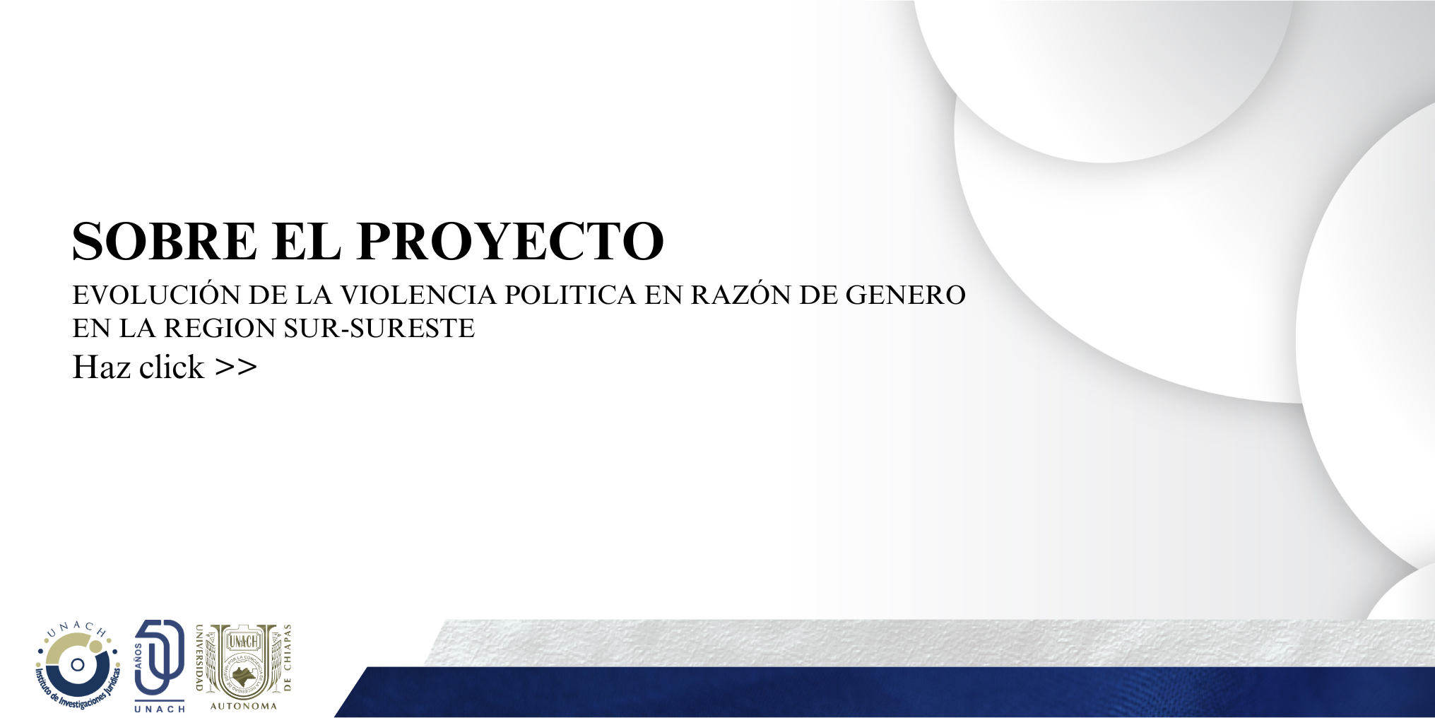 Sobre el proyecto